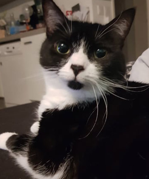 Pixel