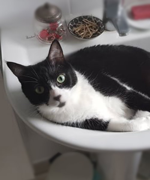 Pixel